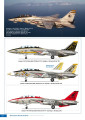 Avions de Combat hors-série n°9