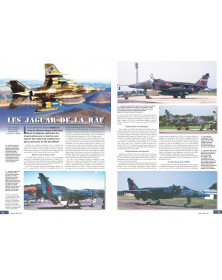 Avions de combat n°36