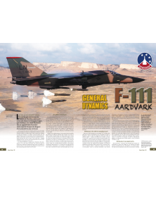Avions de combat n°36