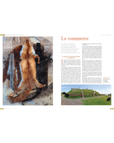 Redécouvrir les Vikings