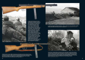 29e Division SS ITALIENNE 29e Division SS ITALIENNE