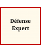 Défense-Expert